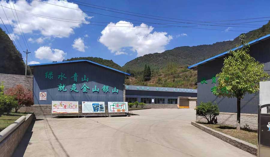 artificial rice plant.jpg