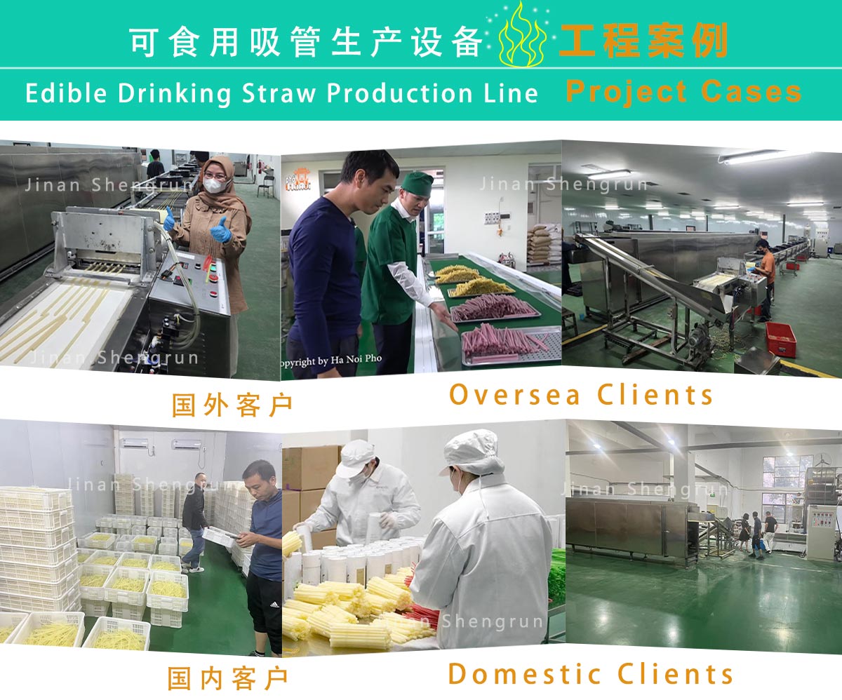 projects of edible rice drinking straw production.jpg