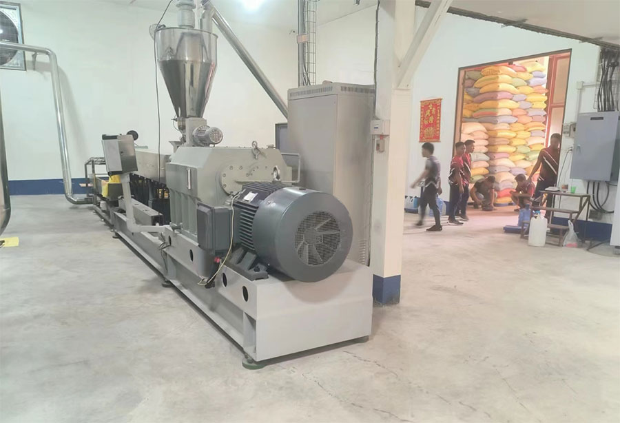 artificial-rice-plant.jpg